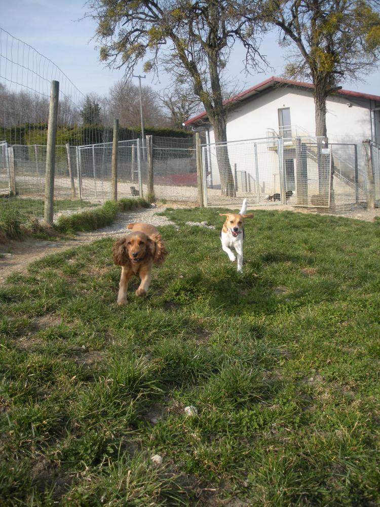 collines verdoyantes